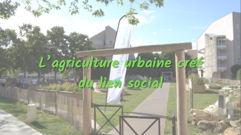 L’agriculture urbaine créé du lien social !